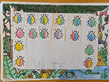 Bunte Käfer sind sortiert geklebt