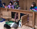 Die 2b bei der Kinder- und Jugendfarm