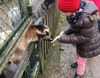 Die 2b bei der Kinder- und Jugendfarm
