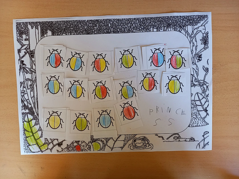 K&auml;fer in bunt