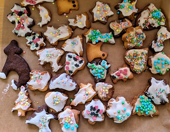 Ledion (3b) hat f&uuml;r uns ausgerechnet: Insgesamt waren es etwa 500 verzierte Kekse!