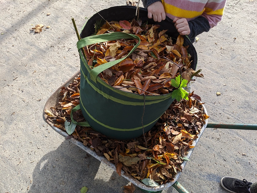 Gartentag 2019
