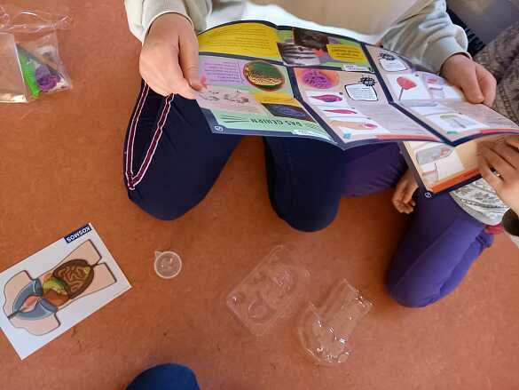 Playmobil in F&uuml;lle