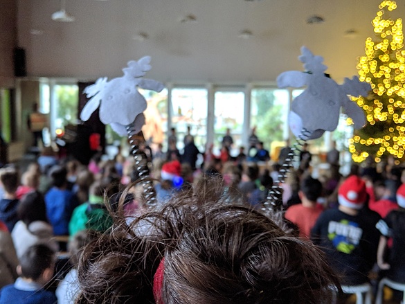 Zu wem geh&ouml;ren diese beiden Elche nur...!?