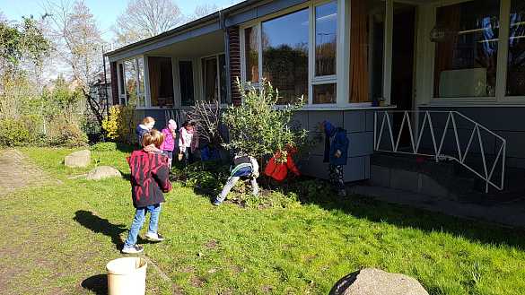 Die 1c pflanzt Fr&uuml;hbl&uuml;her