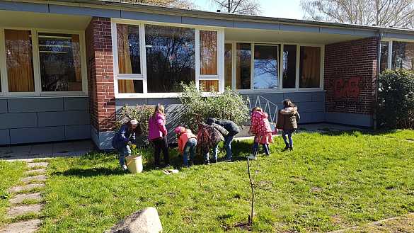 Die 1c pflanzt Fr&uuml;hbl&uuml;her