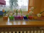Frühblüher