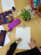 Frühblüher