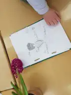 Frühblüher
