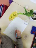 Frühblüher