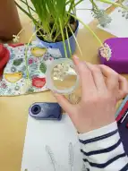 Frühblüher