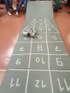 Müllfahrzeuge