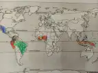 Kakao auf der Weltkarte