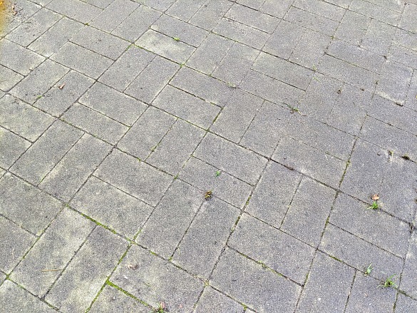 ...und der Boden wird wie neu!