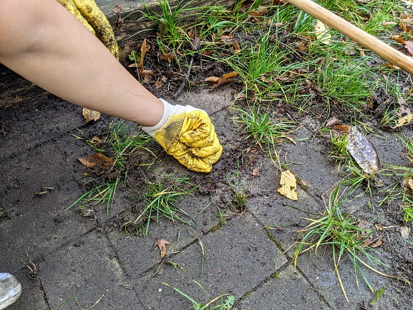 Kezia rupft per Hand...