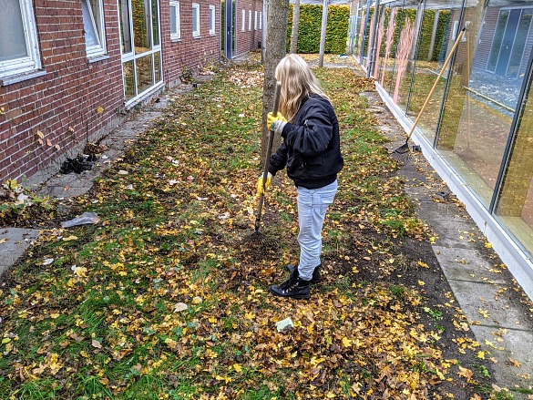 Leonie arbeitet beim blauen Pferd...